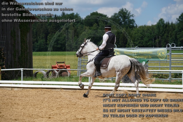 s_K3F06150.JPG